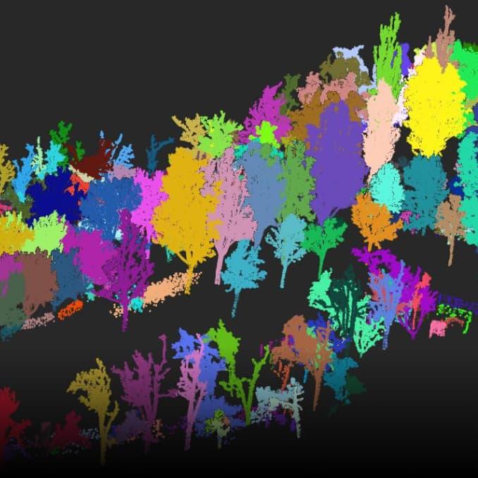 Лесное хозяйство