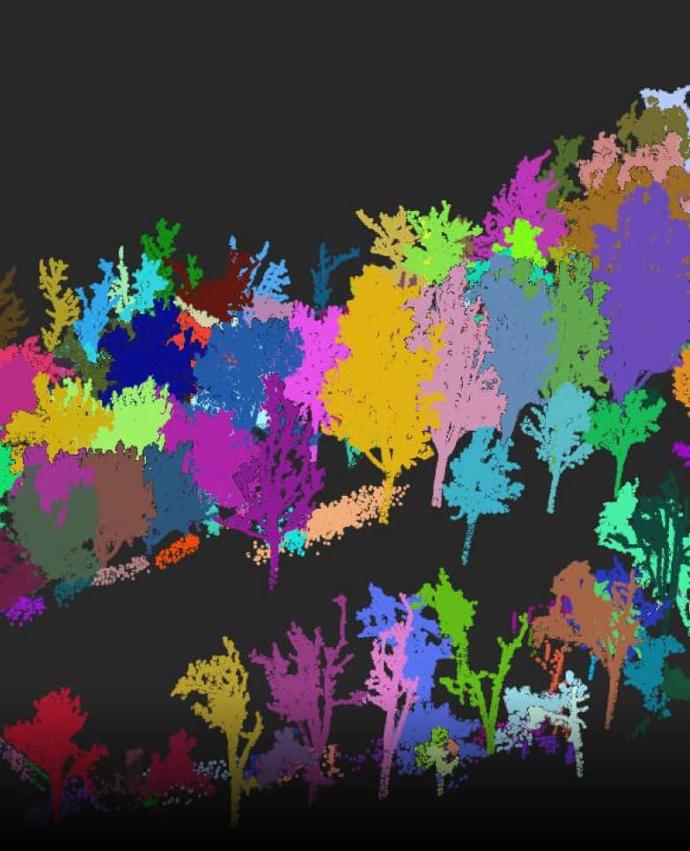 Лесное хозяйство