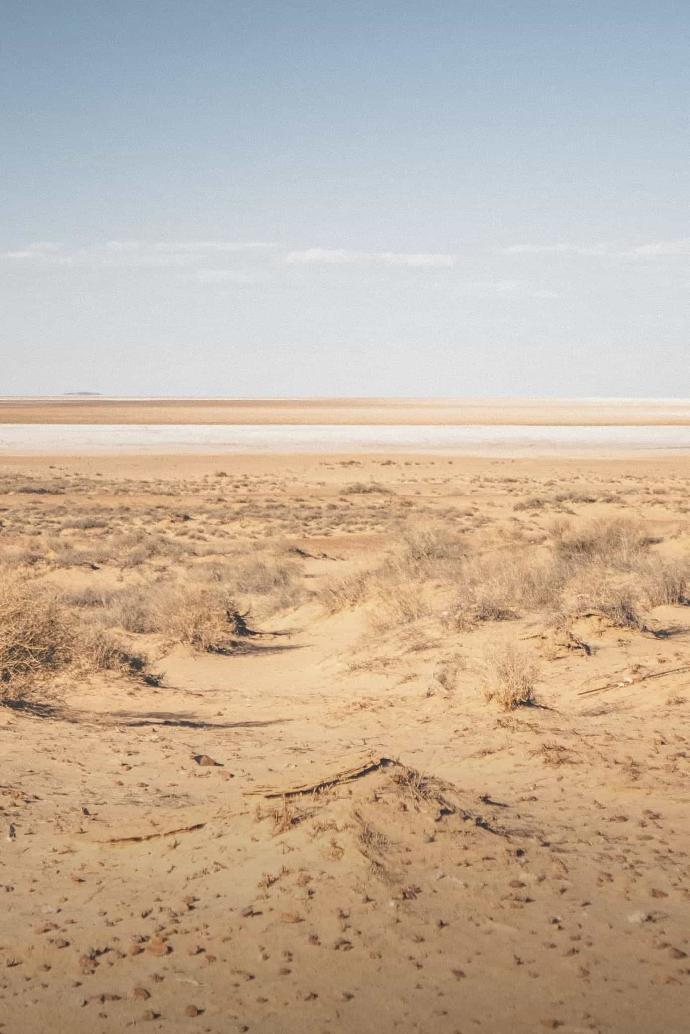 Meddő földek helyreállítása