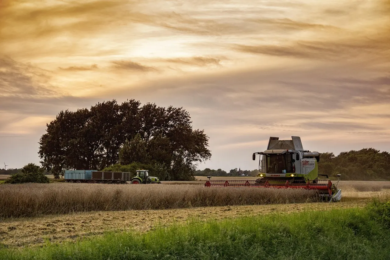 Modern, efficient agriculture at golden hour: a combine harvester and tractor-trailer work in coordination during the wheat harvest. The idyllic setting, bathed in sunset colors, symbolizes the successful culmination of the season's work and the tranquility of rural life.